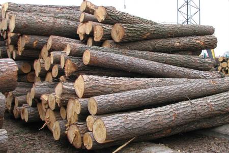 Деревина у Сумах – актуальні ціни та умови покупки